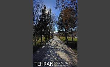 بوستان پلیس 54