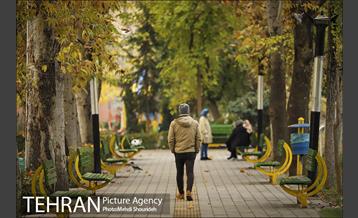 بوستان اندیشه(شهید منفرد نیاکی) 4