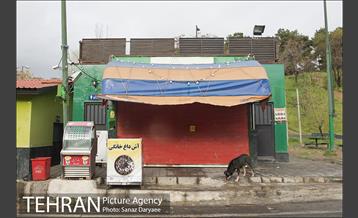 تعطیلی بوستان جنگلی سرخه حصار به منظور پیشگیری از شیوع ویروس کرونا 13