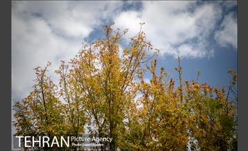 پاییز زیبای پایتخت- 3