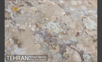 کوه های روستای وردیج 10