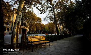 پاییز میدان مشق 4