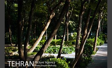 بوستان باغ ایرانی 2