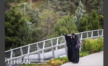 پل طبیعت در اولین روزهای پاییزیی 3