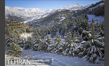 طبیعت برفی تلو 4