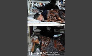 گرمخانه ها، دور از سرما 24