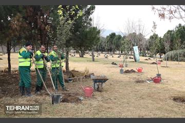 آیین پدران آسمانی  18