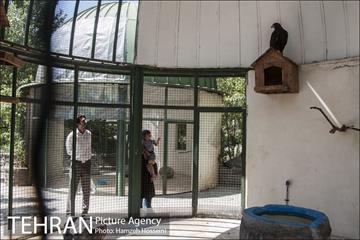 باغ پرندگان تهران 6