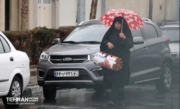 بارش باران زمستانی در تهران 23