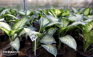 افتتاح پروژه‌های منطقه ۱۴ 22