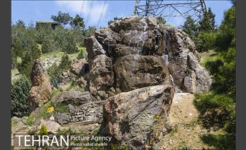 بوستان جنگلی کوهسار 5