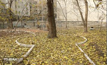 مراحل احداث پروژه ی باغ باهنر 2