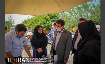 بازدید مهندس شاپور رستمی معاون هماهنگی و امور مناطق شهرداری تهران از پروژه های منطقه ۸ 8