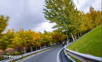 سمفونی رنگ های پاییزی / شایان محرابی