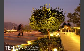 تور عکاسی طبیعت و شهر 19