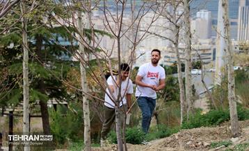 هوای بهاری منطقه 22 60