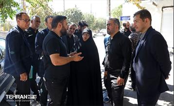 بازدید عضو کمیسیون اجتماعی و فرهنگی شورا از منطقه 17 3