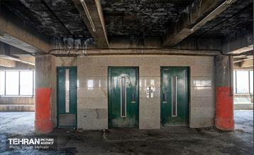 جای خالی پروانه ها 6