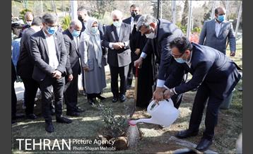 آیین کاشت نهال دوستی با حضور همسران دیپلمات مقیم ایران 21