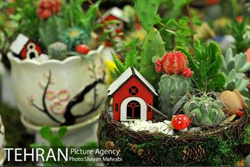 شانزدهمین نمایشگاه بین المللی گل و گیاه تهران - 2 42