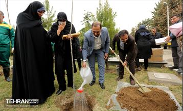 دومین پویش نفس‌های تازه شهر 2