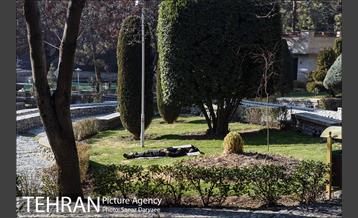 پارک ساعی 10