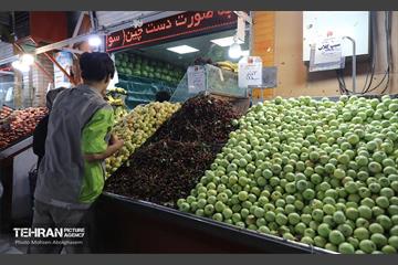 خدمات رسانی بازارهای میوه و تره‌بار 23