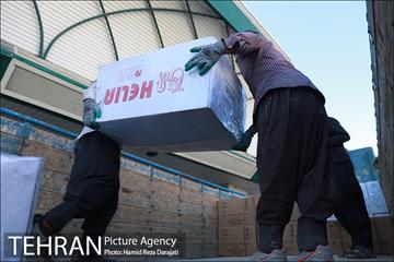 ارسال کمک های شهرداری تهران برای مردم زلزله زده سی سخت 13