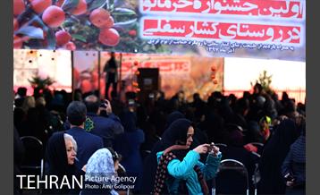نخستین جشنواره خرمالو در روستای کشار سفلی 24
