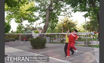 بوستان پلیس 17