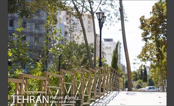 بوستان پدر 5