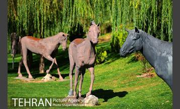 بوستان جوانمردان ایران 16