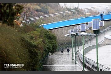 بارش باران زمستانی در تهران 27