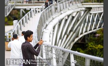 پل طبیعت در اولین روزهای پاییزیی 5