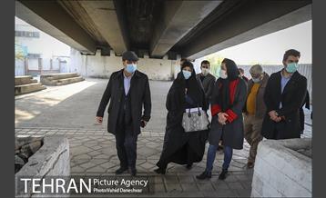 بازدید عضو شورای شهر اسلامی تهران از منطقه 17
