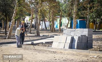 بازدید پرویز سروری از منطقه 17