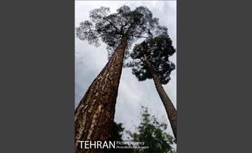 باغ موزه هنر ایرانی‎ 7