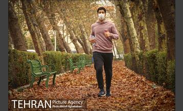 سمفونی برگ های پاییزی 18