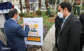 کاشت نخل های کهنسال به یاد شهدا در منطقه ۱۳