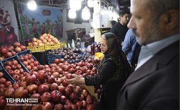 یازدهمین جشنواره صد دانه یاقوت 11