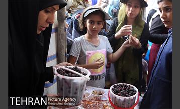 دومین جشنواره شاتوت دردهستان سولقان 5