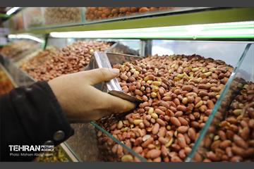 مراحل پایانی ساخت 10 بازار تره‌بار در تهران 52