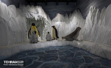 اقیانوس پارک  34