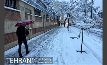 صبح برفی تهران 43
