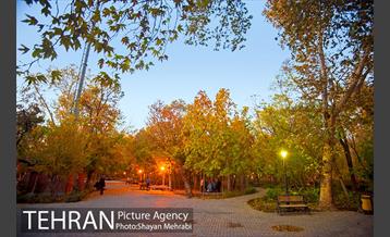 طبیعت پاییزی پارک شهر 10