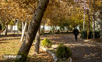 سمفونی رنگ های پاییزی - بوستان رازی 8