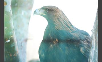 پارک پردیسان 16