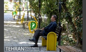 بوستان هورفر 24