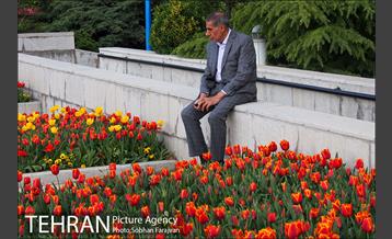 رویش گل های لاله در بوستان گفتگو 11