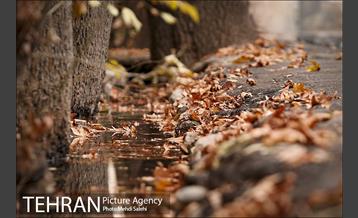 پاییز زیبای منطقه کن 25